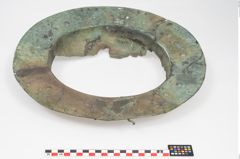 Foto von Bronzebreitrandschale (NHMW-PRAE-025899)